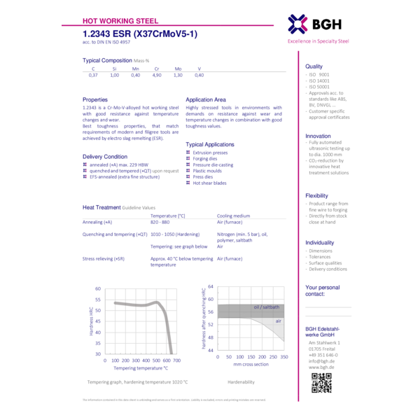 Hot Work BGH 1.2343