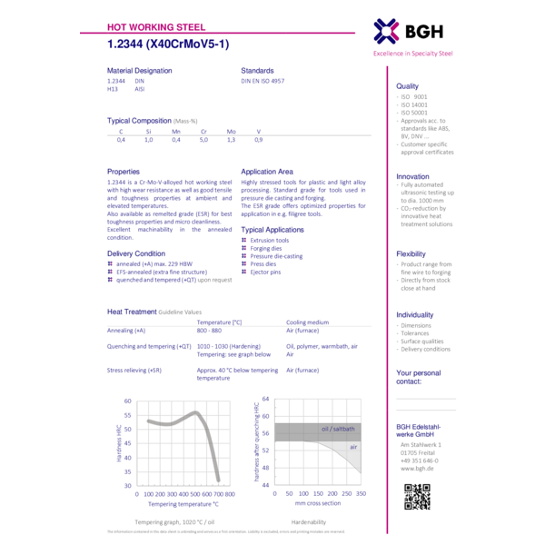 Hot Work BGH 1.2344
