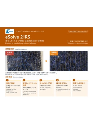 eSolve21RS_Catalog