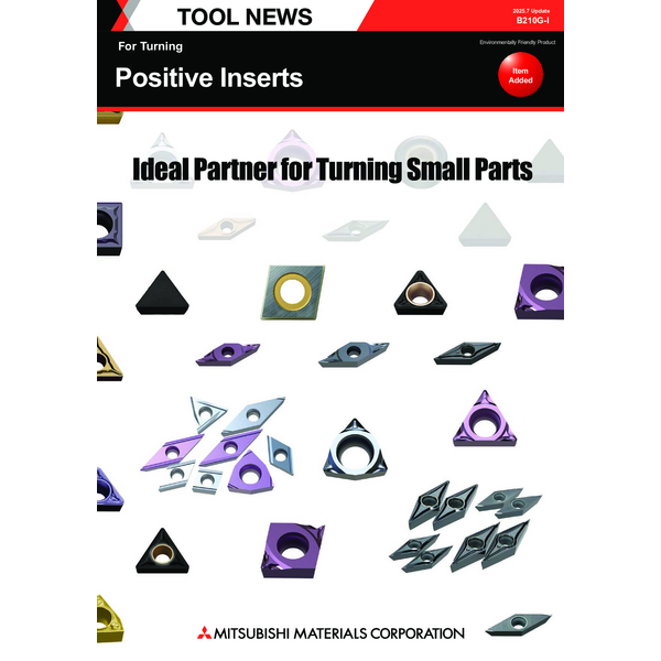 Positive Inserts_Catalog