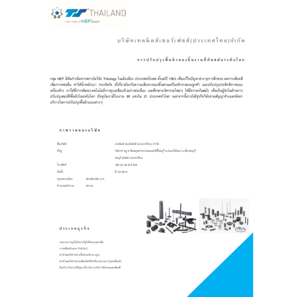 Catalog_Techniques Surfaces-Profile