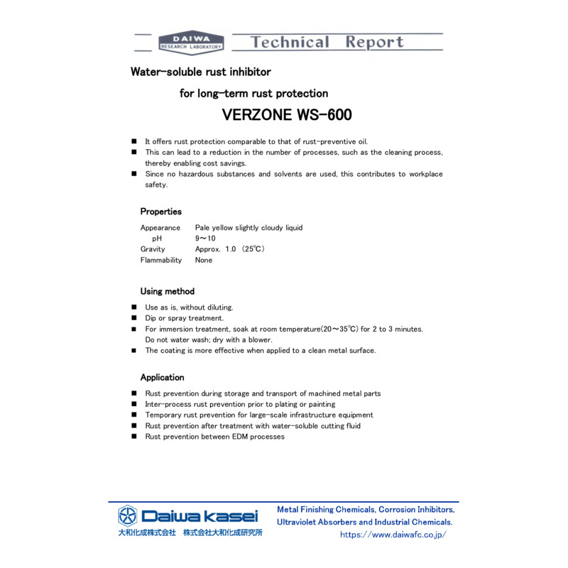 VERZONE WS-600_Technical Report