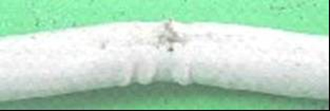 Flattened out hose 2_1af2bd96-d215-4419-9796-c6639e409938.jpg