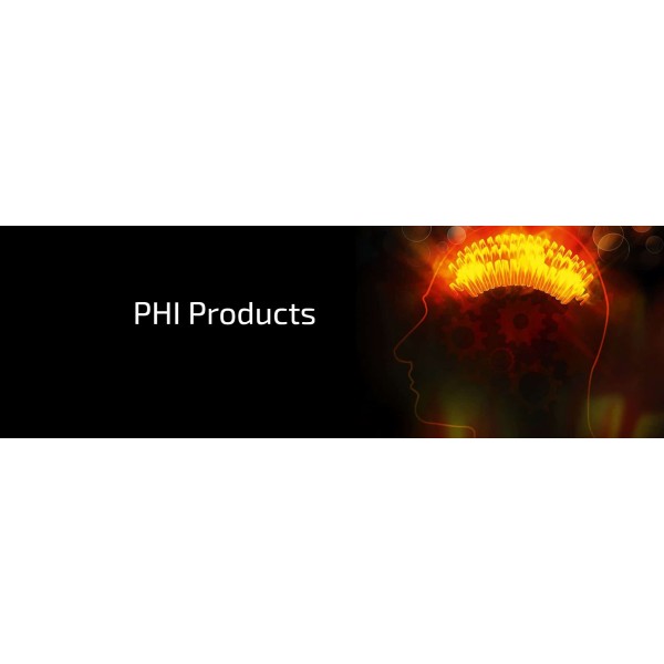 Prolific Heating International Co., Ltd.