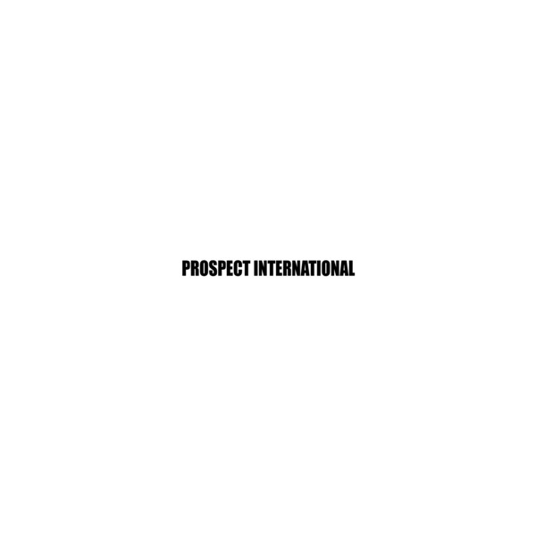 Prospect International Co., Ltd.