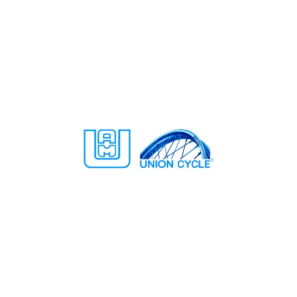 UNION AUTOPARTS MANUFACTURING CO., LTD.