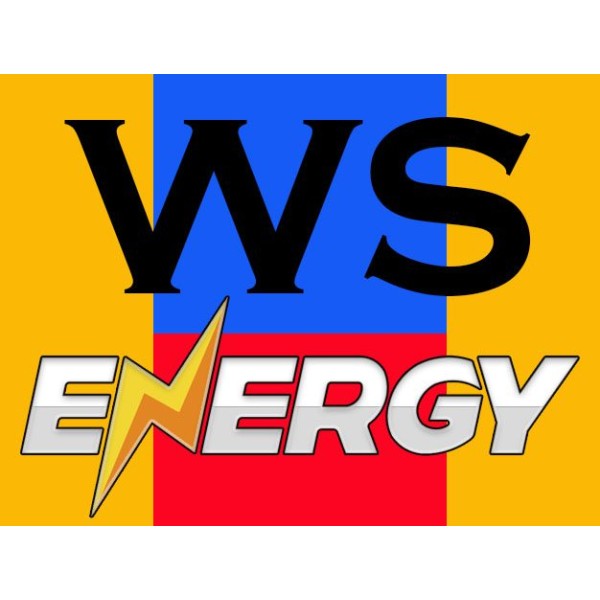 WS ENERGY CO., LTD.