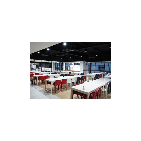 ผลิตภัณฑ์สำเร็จรูปสำหรับร้านอาหารและโรงอาหารของโรงงาน
