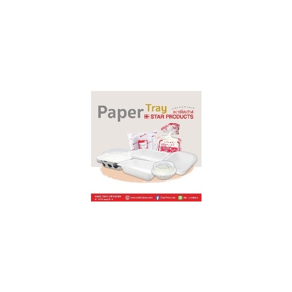 Paper tray