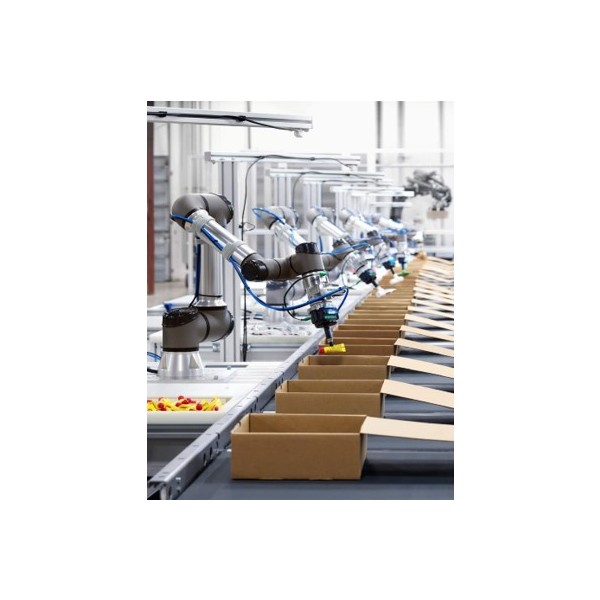 Packaging - Robot solution (Industrial robot)
