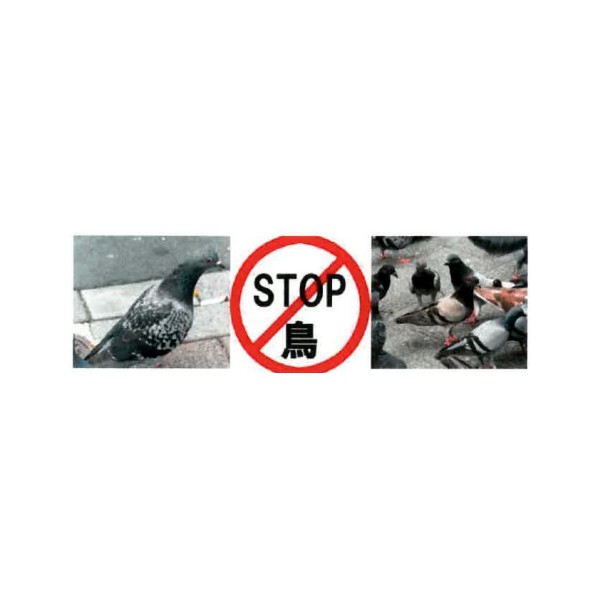  Bird Stop Gel ｜ Long-Lasting Bird Repellent (Up to 3 Years) for Industrial & Commercial Use
