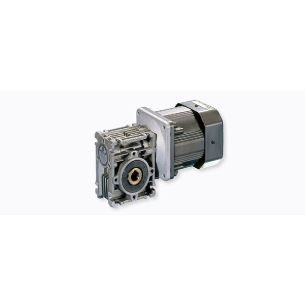 มอเตอร์เกียร์เพลากลวงมุมฉากกะทัดรัด RW-mini (Miki Pulley Thailand)
