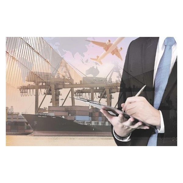 International Logistics Consulting