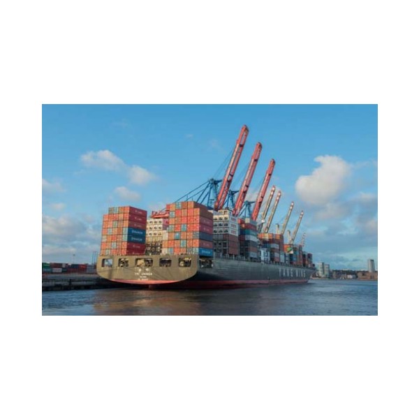 Export/Import Brokerage