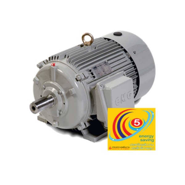 High-efficiency motors, CMG motors, motors for sale Thailand Bangkok