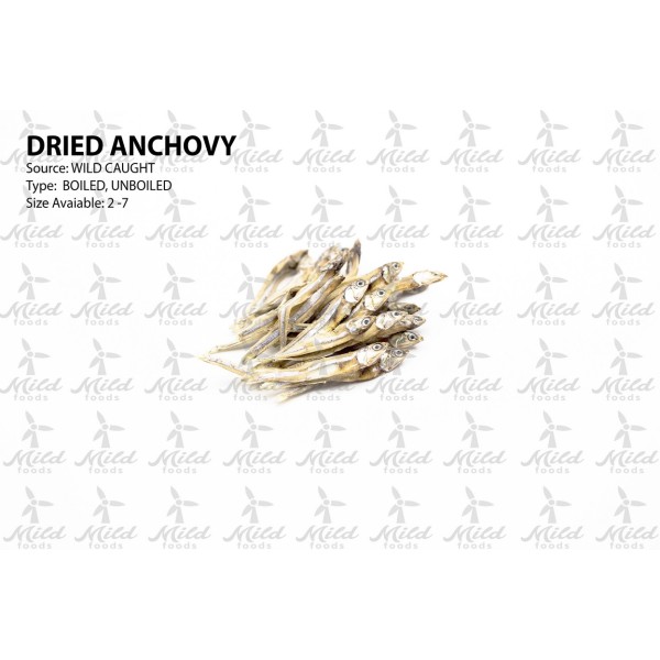 ปลากะตัก (Anchovy) แห้งจากการจับธรรมชาติ - ผลิตภัณฑ์คุณภาพสูง