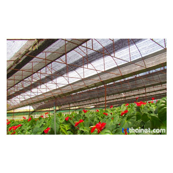 ตาข่ายพรางแสง: เพิ่มความทนทานและประสิทธิภาพสูงสุดด้วยวัสดุ HDPE คุณภาพสูง