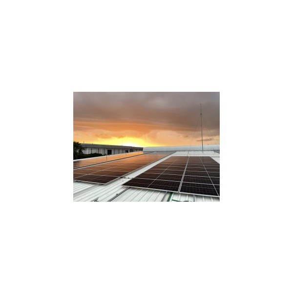 Trina Solar: Solar PV module