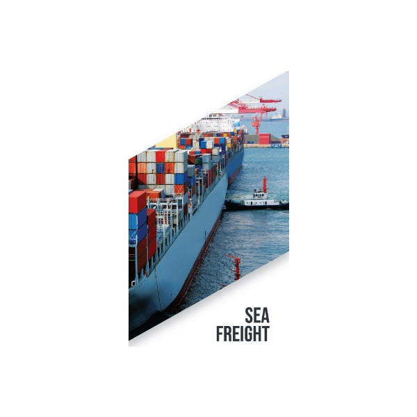 AMAZING LOGISTICS 海上貨物輸送サービス – 六大陸へのグローバル輸送ソリューション