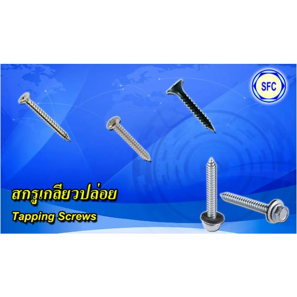 สกรูเกลียวปล่อย（Self Tapping Screw） （สมุทรปราการ、ไทย）