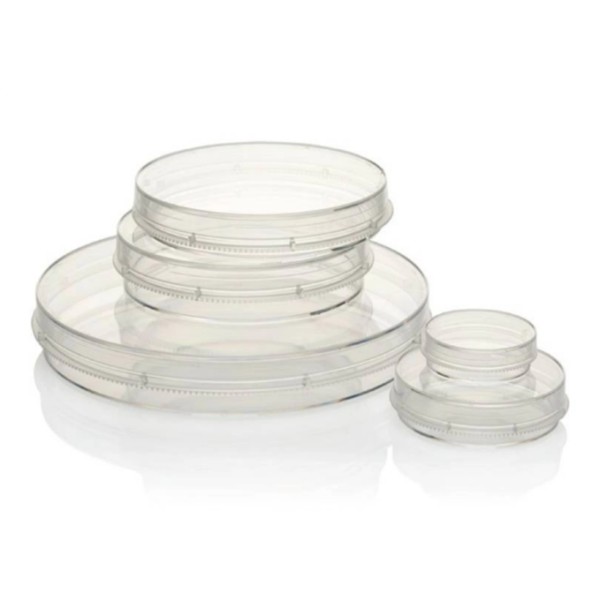 Nunc™ EasYDish™ จานเพาะเลี้ยงเซลล์｜จานสำหรับการเพาะเลี้ยงเซลล์อย่างมีประสิทธิภาพ (ประเทศไทย)