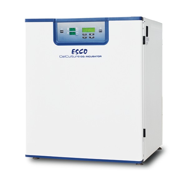 CelCulture® CO₂ Incubator: Reliable for Tissue Engineering and Stem Cell Research Bangkok Thailand