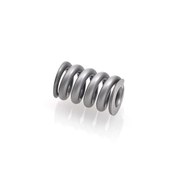 Compression spring
