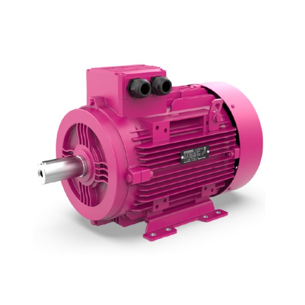 Versatile low-voltage motor products.
