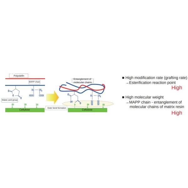Kayabrid｜Advanced MAPP Resin for Improving Fiber Adhesion in Polyolefin Composites