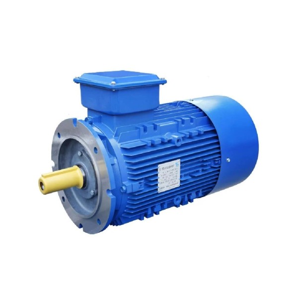 PalaDrive IE2 High Efficiency Three-Phase Induction Motor
