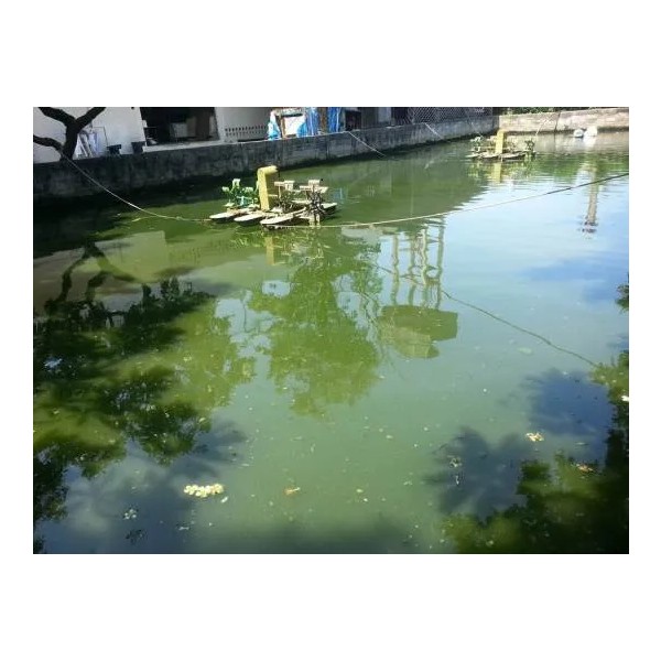 SENTINEL SOLUTION (THAILAND) CO., LTD.