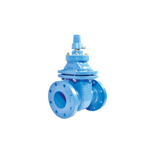 Underground Valve