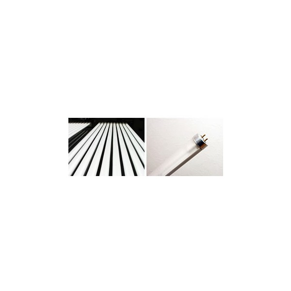 Supply high-quality LED light bulbs