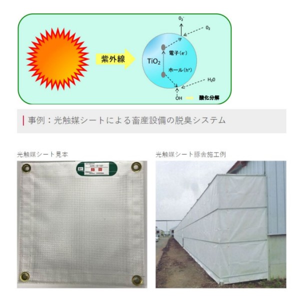 Environmental and Hygiene Products: Photocatalytic Coating Fluid Titernal - Thailand