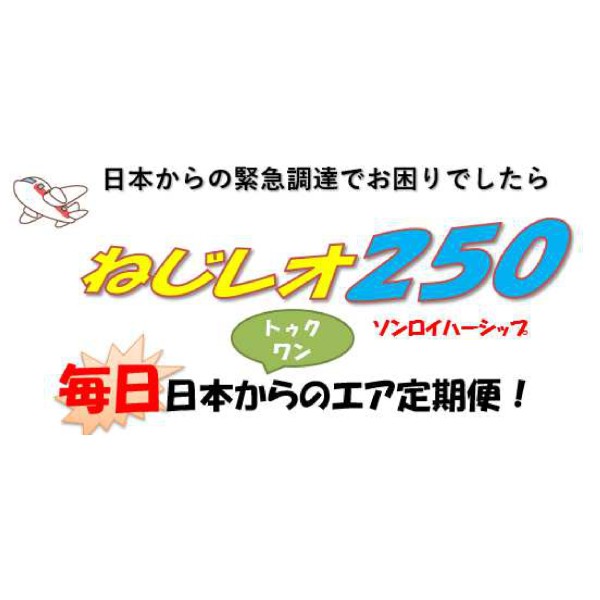 บริการขนส่งทางอากาศ ญี่ปุ่น → ไทย ด่วนพิเศษ เร่งด่วน รับแม้เพียง 1 ชิ้น NEJIREO 250/กก.