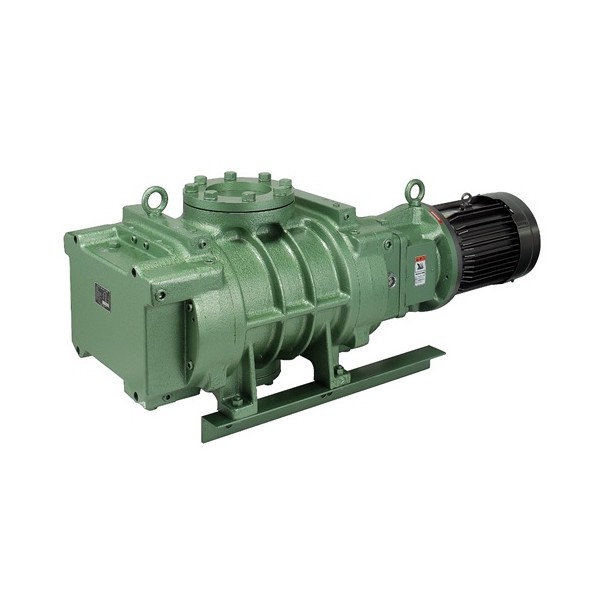 Vacuum Pump Repair Osaka Vacuum - RD Series