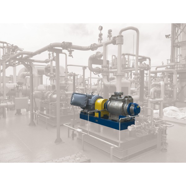 Vacuum pump repair