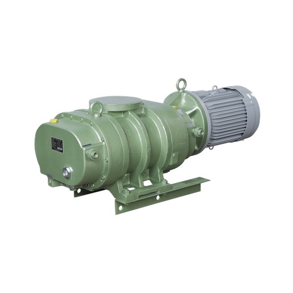 Vacuum Pump Repair Osaka Vacuum - RD Series