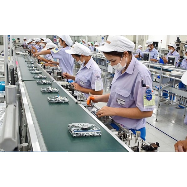 Electronic manufacturing services (EMS)