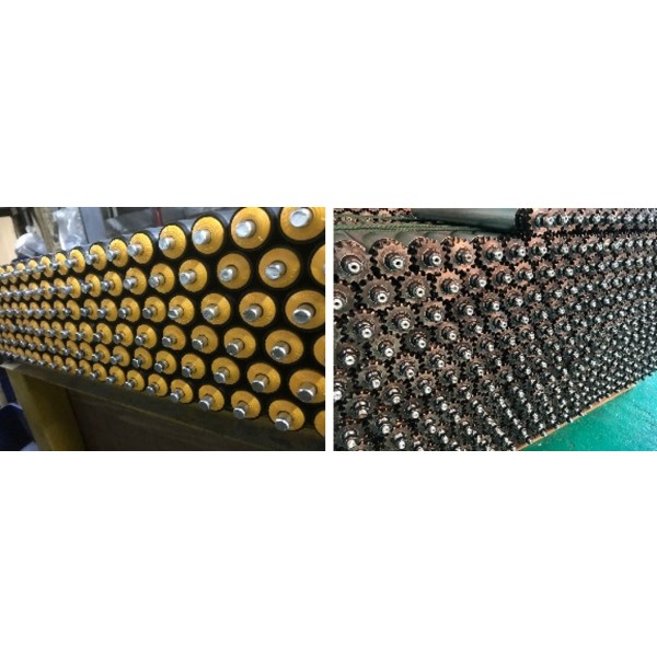 Free roller for conveyor system