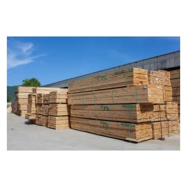 Timber wood Pine Ply Eucalyptus