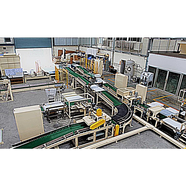 Conveyor Systems Thailand
