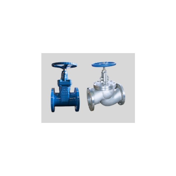 Gate & Globe Valves