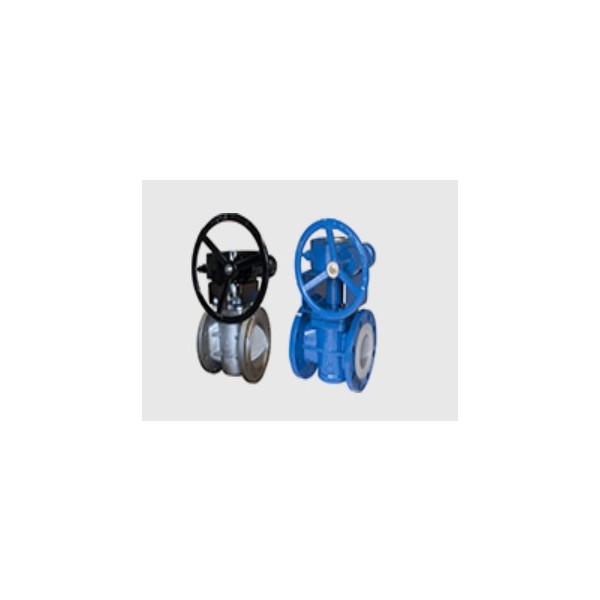 Plug valves