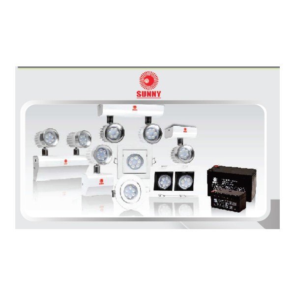 Emergency lighting luminairess, Exit sing lighting