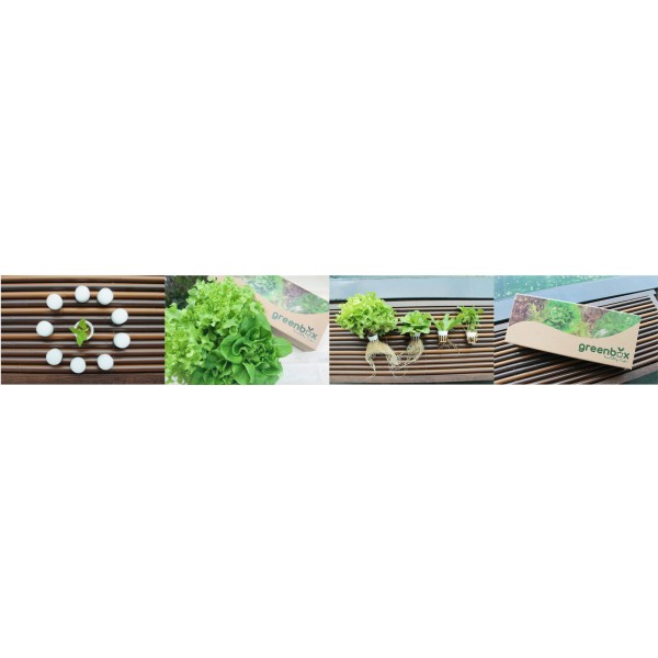 S.V.K. INTERNATIONAL CO.,LTD.