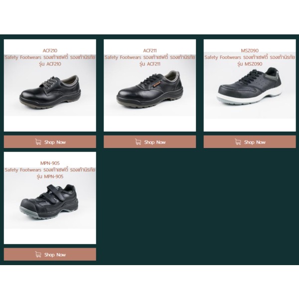 Safety Shoes / Safety Footwears / Protective equipment