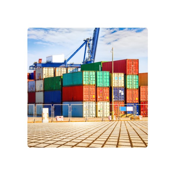 Container Yard and Storage Services: Comprehensive Container Management