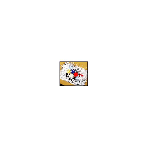 サンテックフォーム