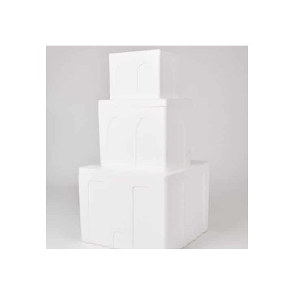 Polyfoam High-Quality Foam Boxes – Durable and Insulated, Ideal for Food and Pharmaceutical Transportation - Bangkok, Thailand